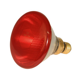 BEC INFRAROSU 175W