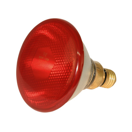BEC INFRAROSU 175W