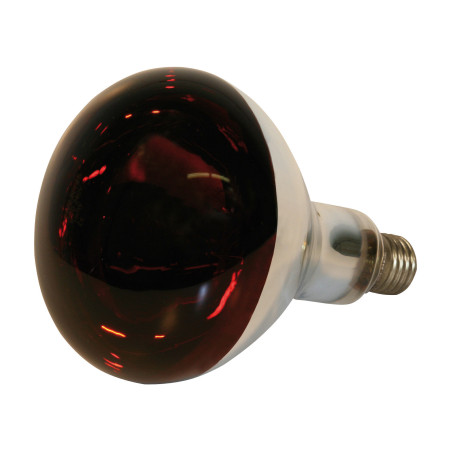 BEC INFRAROSU 250W EF